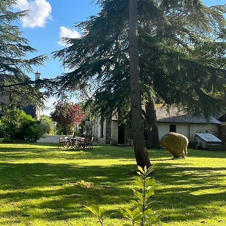 Maison De Charme Saint-Saturnin-sur-Loire Exterior foto